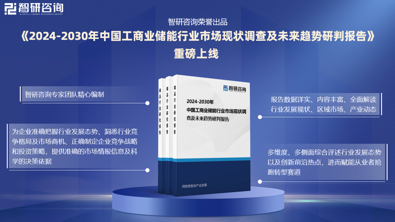 信息咨询服务